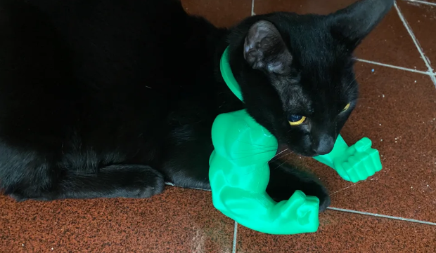 Hulk händer för katter