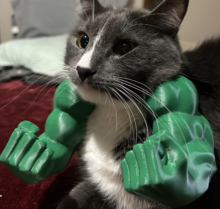 Hulk händer för katter
